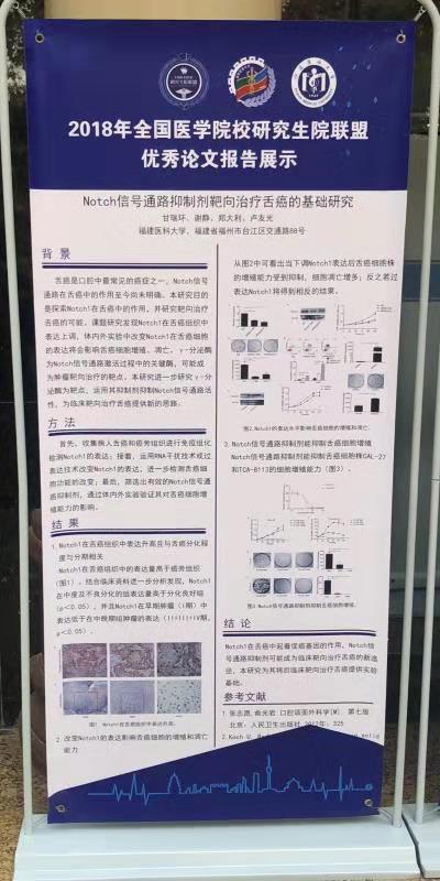 优秀论文报告展示.JPG